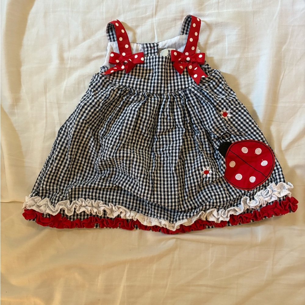 Adorable Gingham Dress with Ladybug Design
